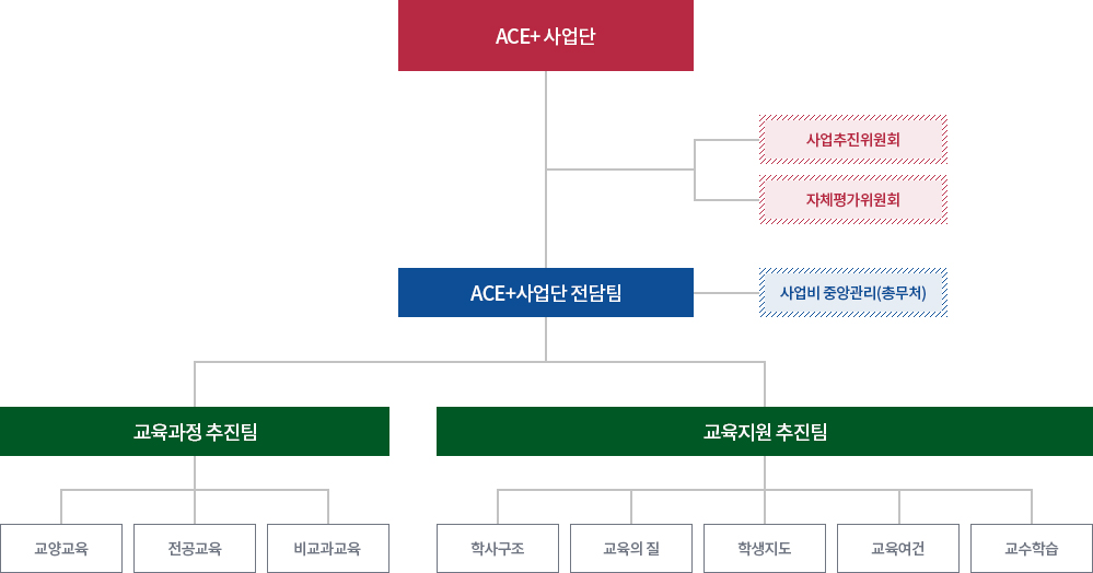 ACE+사업단 / 사업추진위원회,자체평가위원회 / ACE+사업단 전담팀-사업비 중앙관리(총무처) / 교육과정 추진팀-교양교육,전공교육,비교과교육 / 교육지원 추진팀-학사구조,교육의질,학생지도,교육여건,교수학습